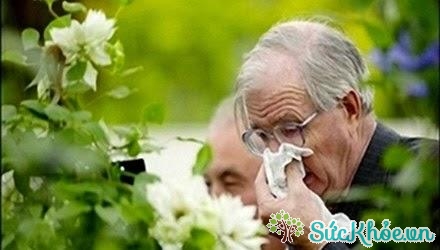 Bệnh viêm mũi dị ứng