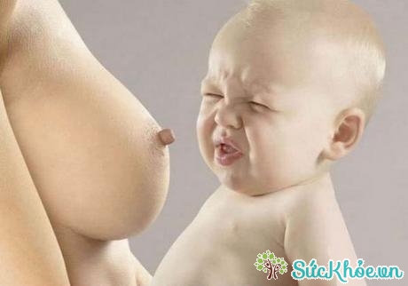 Cách cai sữa cho bé 17 tháng