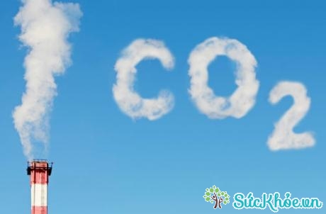 Khí CO2 là gì để làm gì