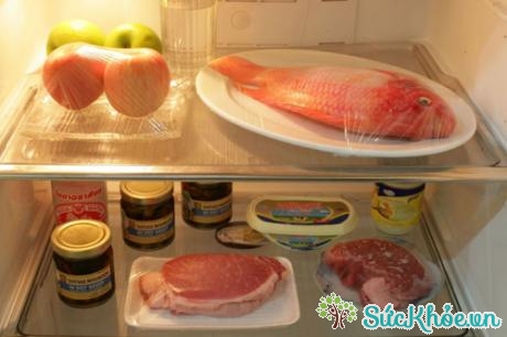 Các bảo quản thực phẩm thịt cá tươi sống