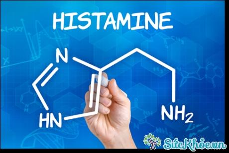 HIstamin là gì