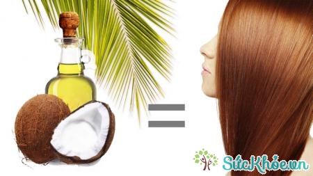 Cách dưỡng tóc bằng dầu dừa tại nhà hiệu quả nhất