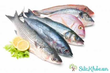 Nguồn hải sản không đảm bảo tươi sạch cũng dẫn tới ngộ độc hải sản