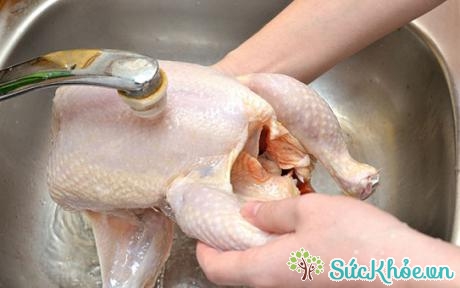Rửa sạch gà trước khi luộc gà không cần nước