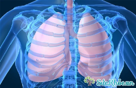 Có nhiều nguyên nhân gây bệnh phù phổi