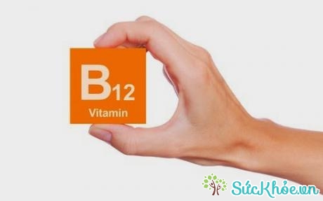 Thiếu vitamin B12 dẫn tới bệnh thiếu máu