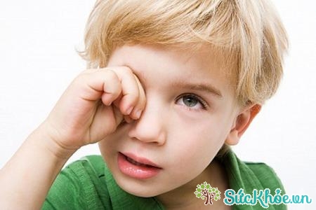Trẻ thường xuyên dụi mắt dễ gây cận thị