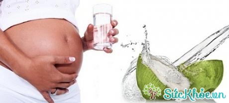 Nước dừa có nhiều khoáng chất dinh dưỡng tốt cho bà bầu và bà bầu bị thiếu nước ối