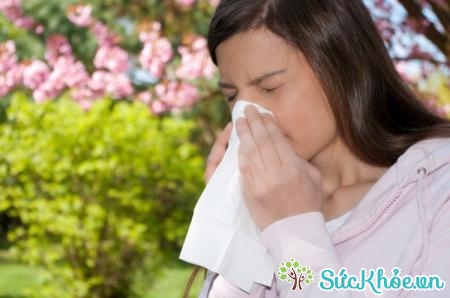 Hầu hết những người bị bệnh viêm xoang mũi cấp tính là do dị ứng bụi bẩn