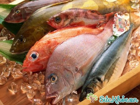 Cá là thực phẩm tăng cường sinh lý nam hiệu quả
