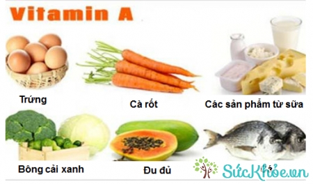 Bổ sung vitamin A là cách điều trị bệnh quáng gà hiệu quả nhất