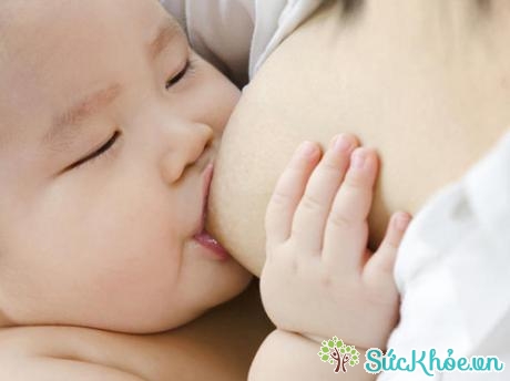 Dinh dưỡng cho trẻ sơ sinh trong 4 tháng đầu sữa mẹ là thức ăn chính