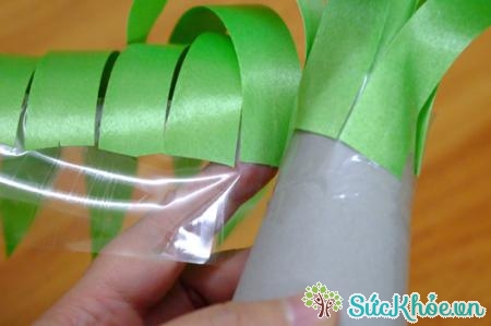 Bạn dùng băng dính trong để cố định phần lõi đấy vào đáy chiếc lọ nhựa