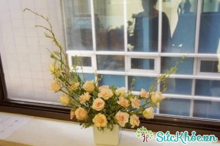 Bạn có thể cắm hoa theo kiểu này sau đó đặt bên khung cửa sổ, lãng mạn đúng không nào!