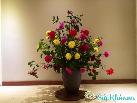 Cách cắm hoa ngày Tết này sẽ giúp bạn trang trí cho ngôi nhà thêm đẹp hơn