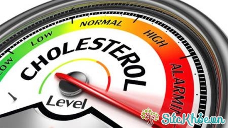 Nồng độ cholesterol trên 240 mg/dL là mức báo động
