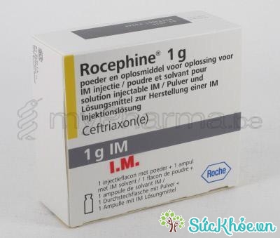 Điều trị bệnh lậu bằng Ceftriaxone (Rocephine)
