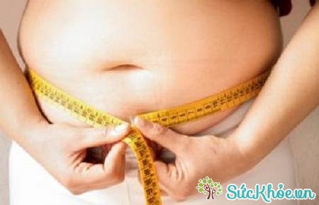 Sự rối loạn tiêu hóa dẫn tới bệnh béo phì