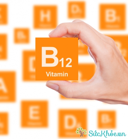 Cơ thể thiếu vitamin nhất là vitamin B2 có thể là nguyên nhân thiếu máu 
