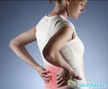 Bệnh nhân sỏi thận thường có triệu chứng đau vùng thắt lưng