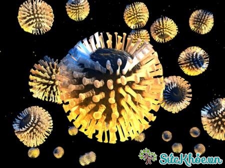 Rotavirus là nguyên nhân tiêu chảy cấp thường gặp nhất