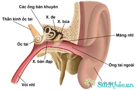 Bệnh ù tai