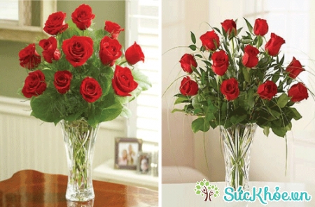 Các cách cắm hoa hồng đỏ để bàn này đều đơn giản, dễ thực hiện