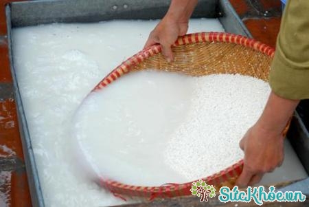 Đãi sạch gạo nếp khi luộc bánh chưng