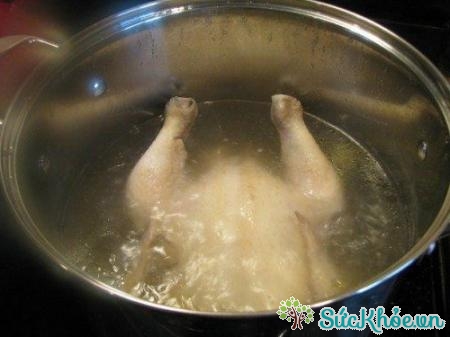 Cho gà vào nồi khi nước còn lạnh là cách luộc gà ngon da giòn bạn cần biết