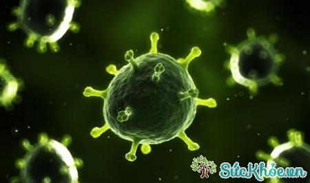 Virus là nguyên nhân viêm phổi chủ yếu