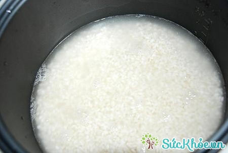 Gạo nếp ngâm qua đêm cho gạo ngấm no nước