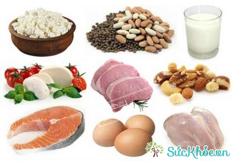 Thực phẩm giàu protein giúp bổ sung chất dinh dưỡng cần thiết cho cơ thể