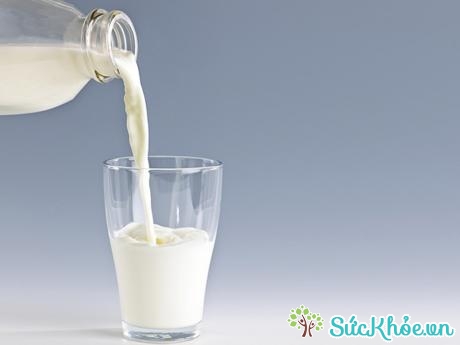 Sữa có nhiều chất bổ dưỡng trong đó có chất đạm