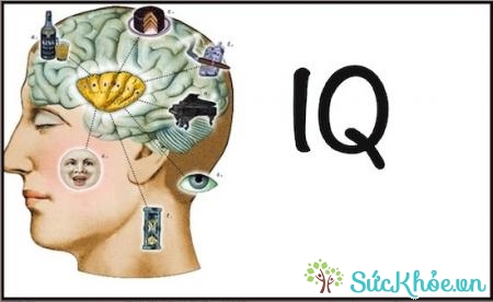 Chỉ số IQ thể hiện sự thông minh