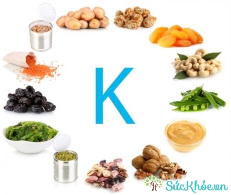 Vitamin K góp phần tạo ra protein cho các mô và xương