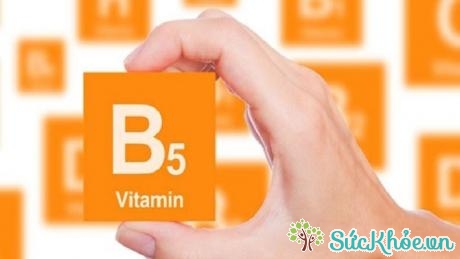 Vitamin B5 giúp giảm sưng xương khớp, nhức mỏi lưng