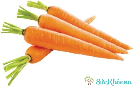 Cà rốt là loại rau củ quả có nhiều chất dinh dưỡng tốt cho thị lực