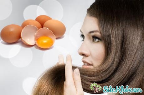 Cách dưỡng tóc bằng trứng gà