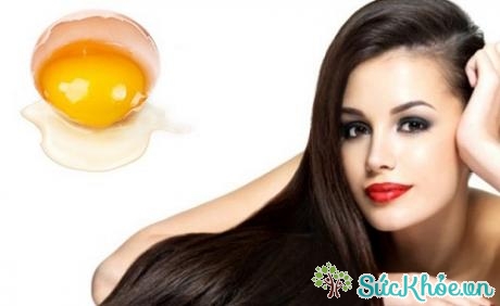 Chăm sóc tóc yếu và dễ gãy bằng lòng đỏ trứng gà