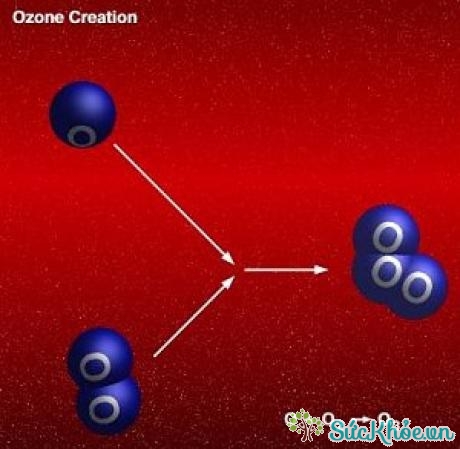 Ozon dạng thù hình của Oxy