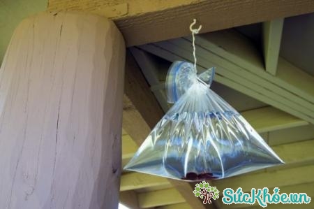 Sử dụng túi nilong chứa nước để đuổi ruồi