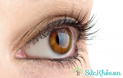 Bệnh viêm giác mạc là bệnh lý về mắt khá phổ biến
