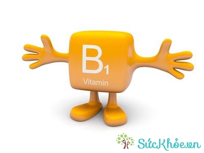Vitamin B gồm nhiều loại: vitamin B1, B5, B8,..