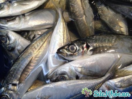 Khi mua hải sản cần phải chú ý xem mắt cá