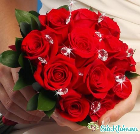 Hoa hồng là quà tặng tuyệt vời cho phái đẹp