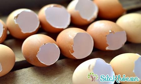 Vỏ trứng chữa các bệnh sản phụ khoa và nội khoa