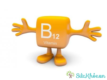 Bổ sung thêm các loại vitamin B12
