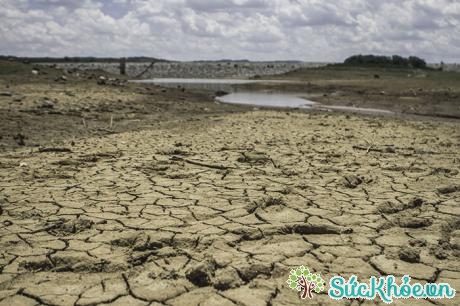 El Nino khiến đất đai khô hạn, thiệu nước ngọt