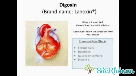 Điều trị thông liên thất bằng digoxin