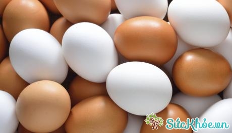 Trứng là thực phẩm tốt cho bệnh loãng xương